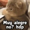 Muy alegre no? hdp