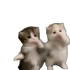 Kicau mania 😺 scuba dance 🔥 5