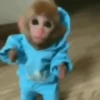 Animalitos cute ✨😸🐾 6