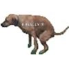 Relieving Dog