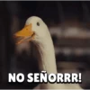 NO SEÑORRR!
