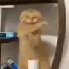 XITPOST ANIMADO  ˃̵ᴗ˂̵ 8