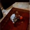 Baby dance 12