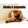 Segunda / segundou  12