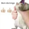 Boa semana 👍 7
