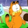 Garfield 18