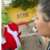 Grinch brasileiro  26