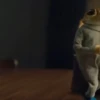 Sapo Concho 2🐸 Bad Bunny 🔥 24