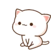 Gif kucing terbaru 14