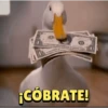 ¡COBRATE!
