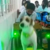 🎵 TIKTOKeando 32🎵 24