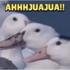 me AHHHJUAJUA!!
