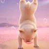 Pibble The DogTikTok🐾✨ 15