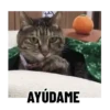 ACC AYUDAME