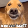 Cachorros debochados 6