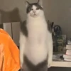 Memes do TikTok 😋🫦 9