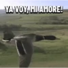 YA VOY, MI AMORE!
