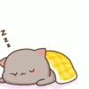Gatitos amorosos gif 9