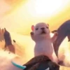 Perro Pibble TikTok✨🐾 6