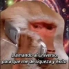 🤣TikTok[◉°]Memes😜 8