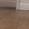 🔥 TIKTOK RAMDON 1.6📱 15