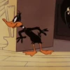 El pato lucas 15