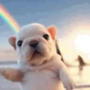 Perro Pibble TikTok✨🐾 5