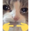 Gif random para el chat 13