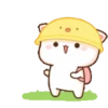 Panda gemuy 8