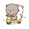 Cat love 9