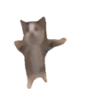 Animales Tiktoks 🤣 8