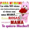 PARA MI HAMI La vida NO viene con instrucciones pero si viene con littp://images.gif.blogspot.pe una MAMÁ... Estas ROSAS son para ti MAMA Te quiero Mucho!!