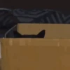 Gatos 13