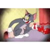 Tom and Jerry 13