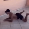 Xitpost  7