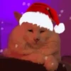 NAVIDAD RANDOM 🎄❤️ 13
