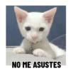 NO ME ASUSTES