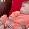 🧿Monkey🐒Changuitos🐵 24