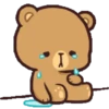 Beruang gemuy 12