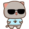 🍑 Gatos Peach y Goma 😻🫶🏻 9