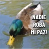 NADIE ROBA MI PAZ!