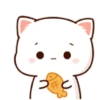 Panda gemuy 10