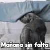 Moods Animalitos 6