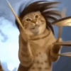 XITPOST ANIMADO  ˃̵ᴗ˂̵ 9