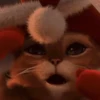 Feliz Natal 14
