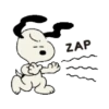 ZAP