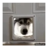 Dog/ Perro Reacciones 🐶🤪 6