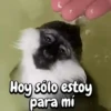 Hoy sólo estoy para mi
