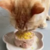 ДАВАЙТЕ ЕСТЬ! 11