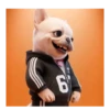 Perro Pibble Tiktok 🐶 ❤️ 8